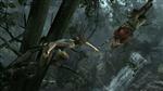   Tomb Raider: Survival Edition [v 1.1.748.0 + 26 DLC] (2013) RePack  Fenixx